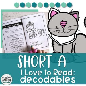 A short a decodable reading passage with a cat.